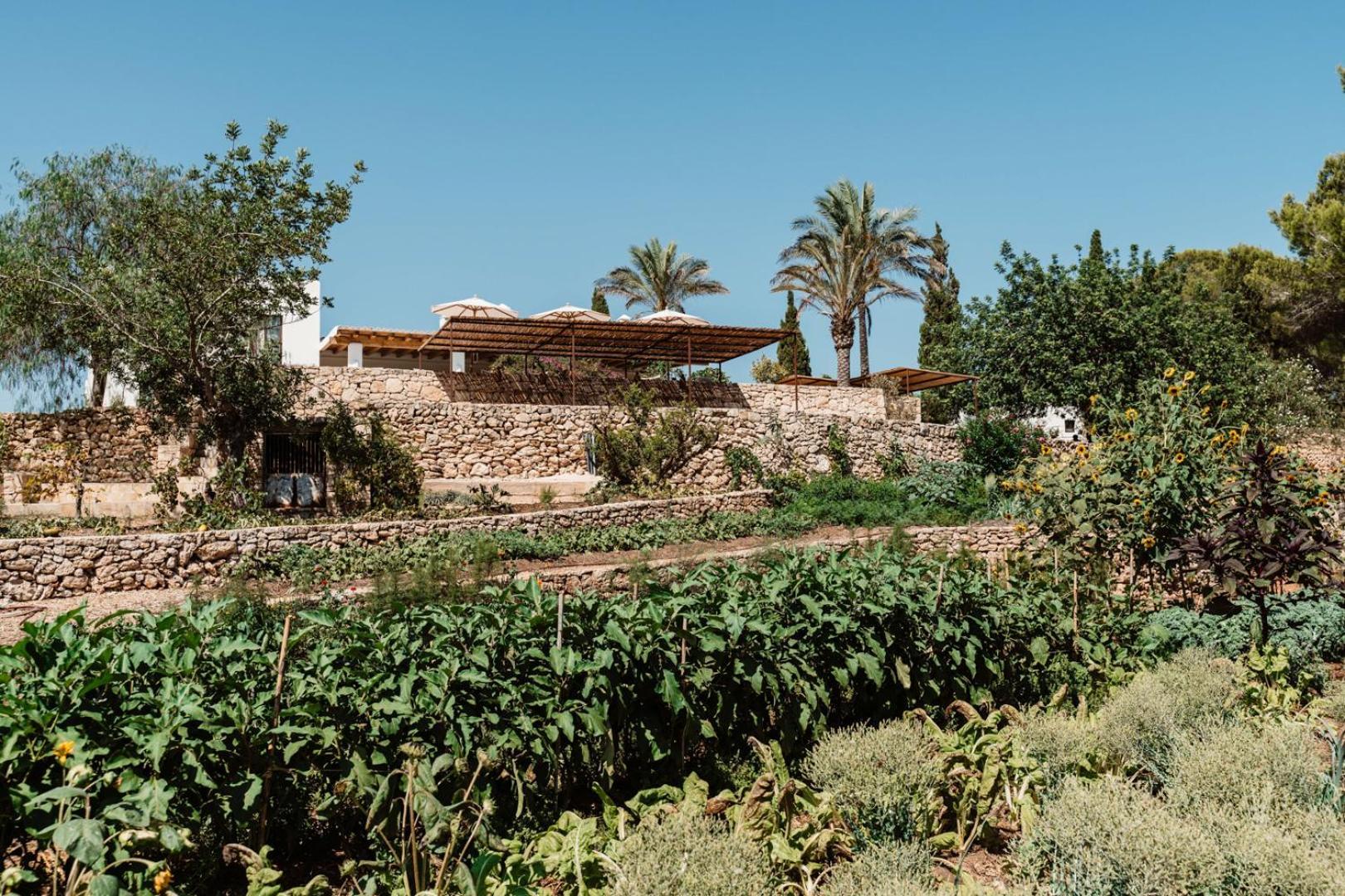 Aguamadera Villa Santa Eularia des Riu Bagian luar foto