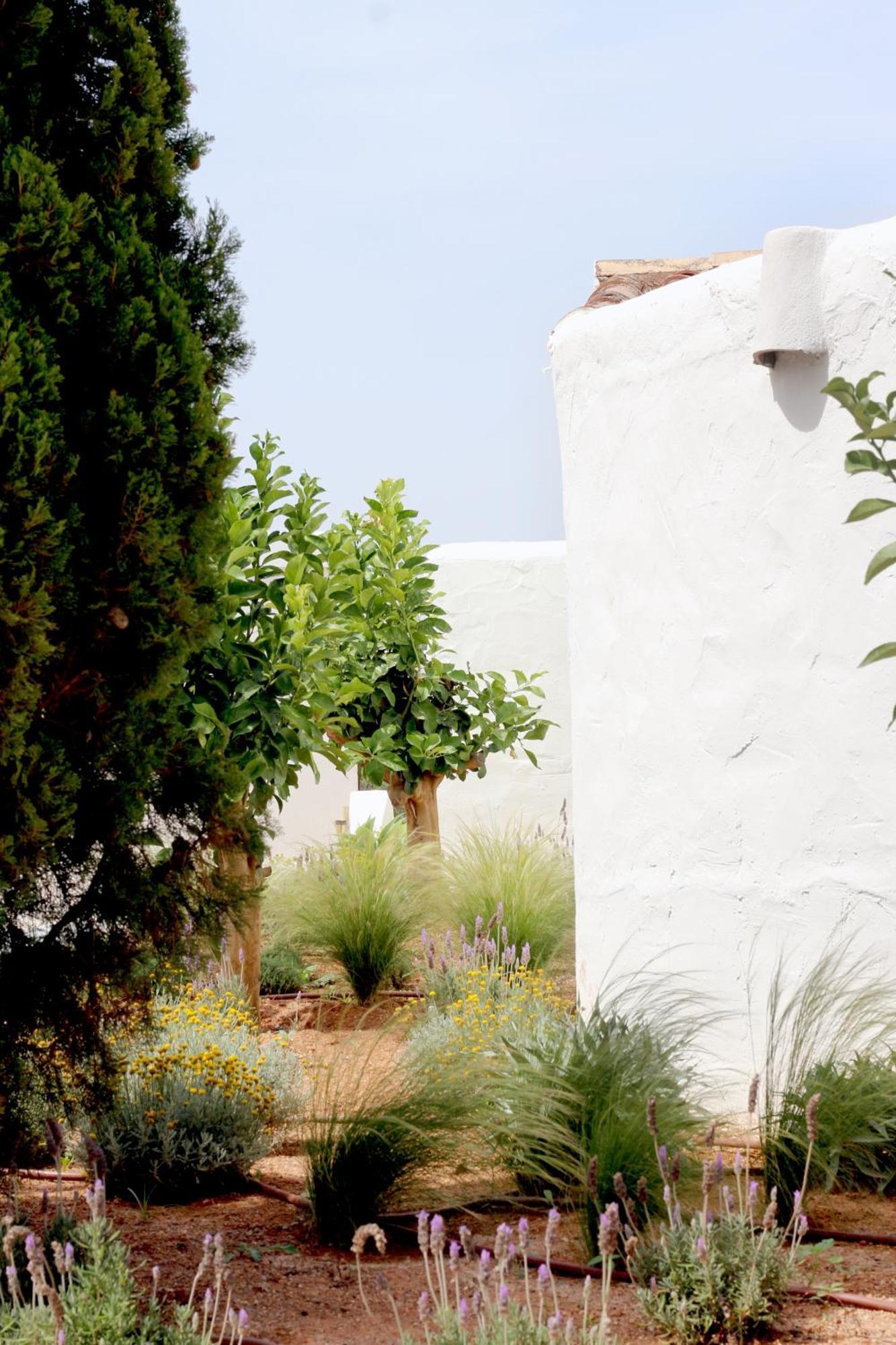 Aguamadera Villa Santa Eularia des Riu Bagian luar foto